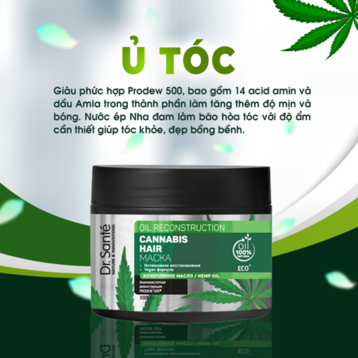 Kem ủ chăm sóc tóc chuyên sâu, phục hồi hư tổn không chứa Paraben, không Silicon, không chất tạo màu, không Sulfat - Cannabis Hair (Ba Lan)